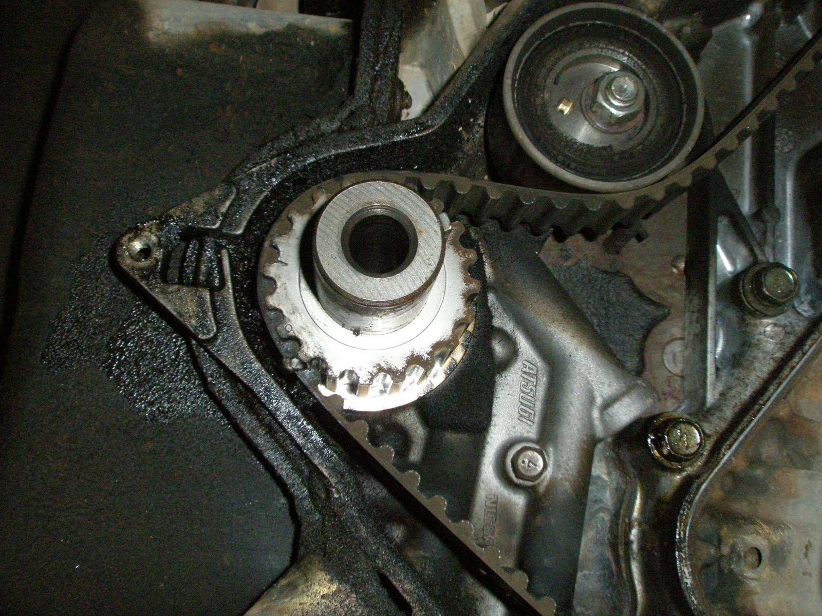 [P2280002a.JPG]