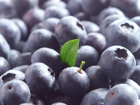 blauwe bessen en diabetes