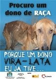 Campanha contra o abandono de cães