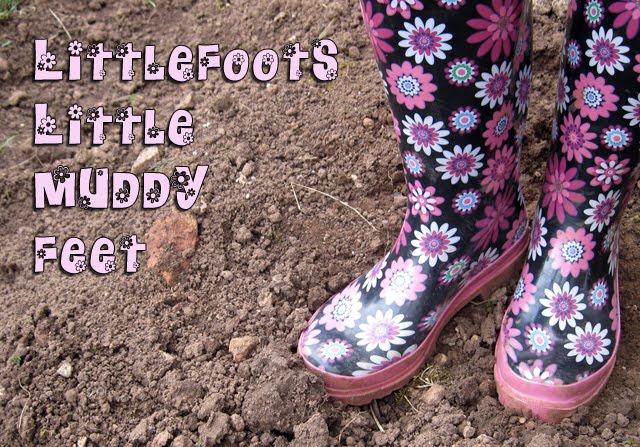 Littlefoots Little Muddy Feet