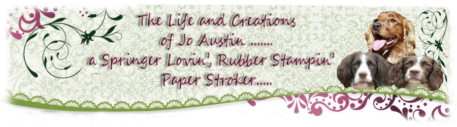 The Life and Creations of a Springer-Lovin Paper Stroker...