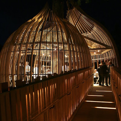 Tree House Cafe