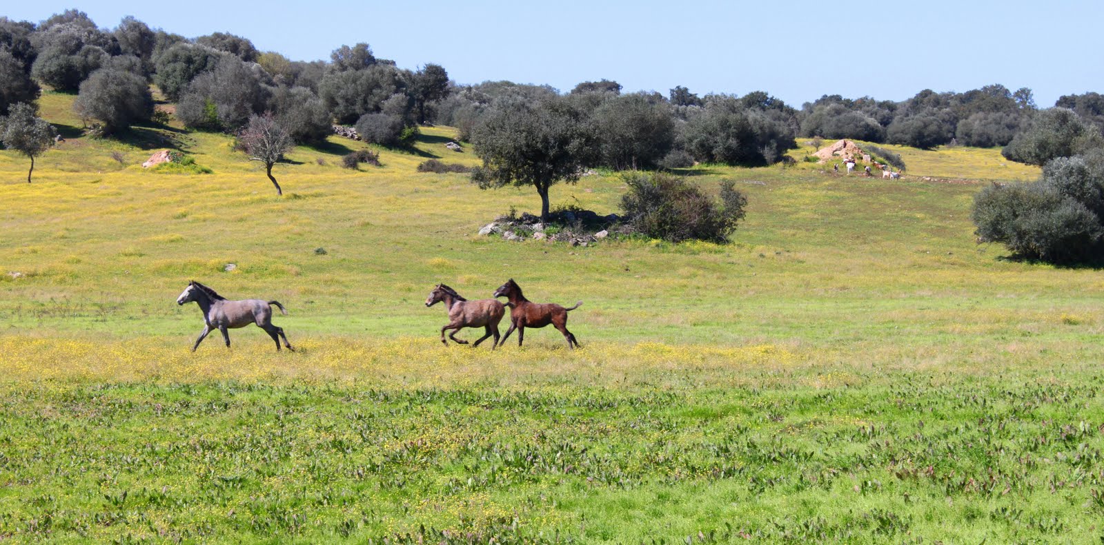 [alentejo+297.JPG]