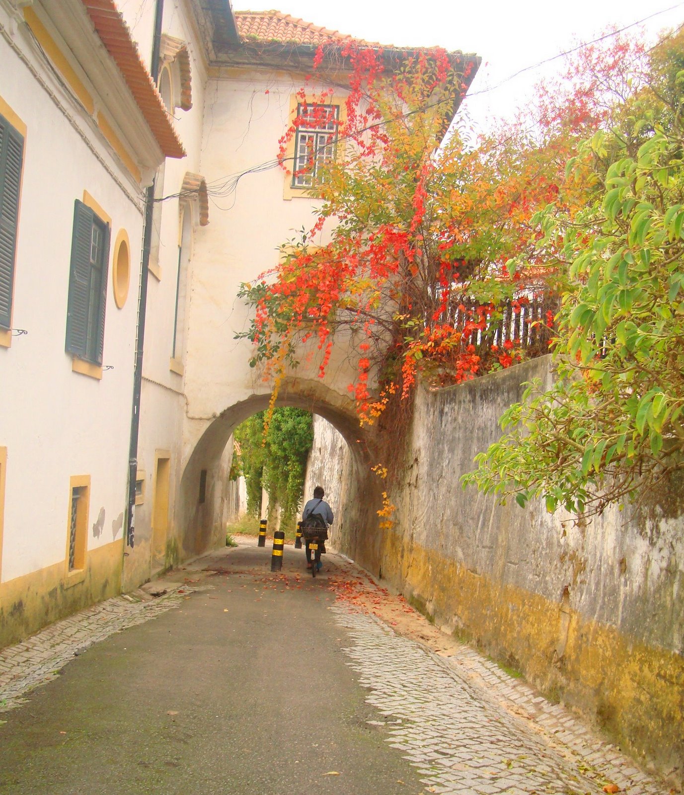 [romas+044.jpg]