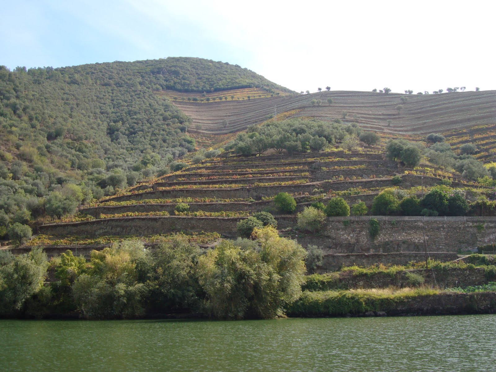 [Douro+048.JPG]