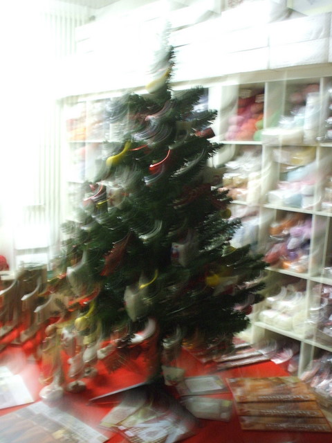 [DSCF3839.JPG]