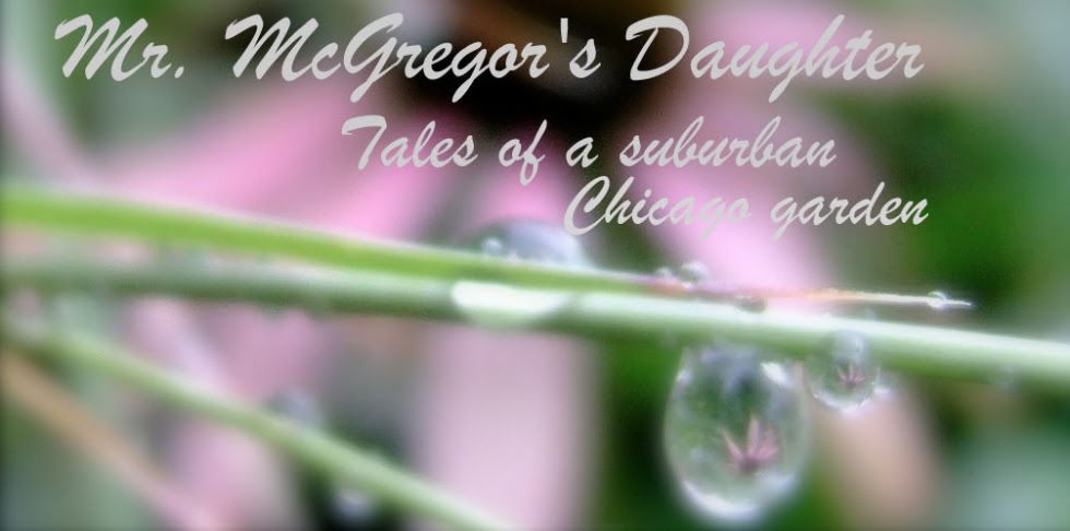 Mr. McGregor\