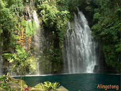 tinago falls