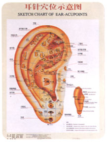 [Acu_Chart__Ear.jpg]