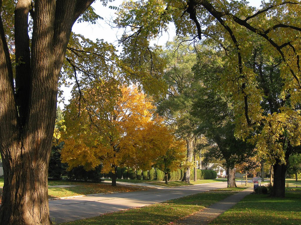 [100130-Flickr-mjflight-Riverside2.jpg]