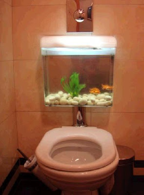 Toilet+Bow+fish+Tank+2.jpg