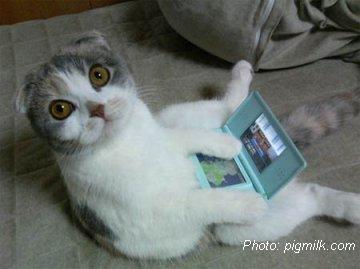Nintendo Ds Games Download