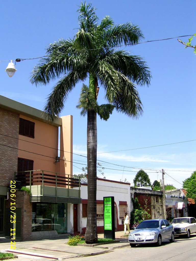 [monteagudo+580.jpg]