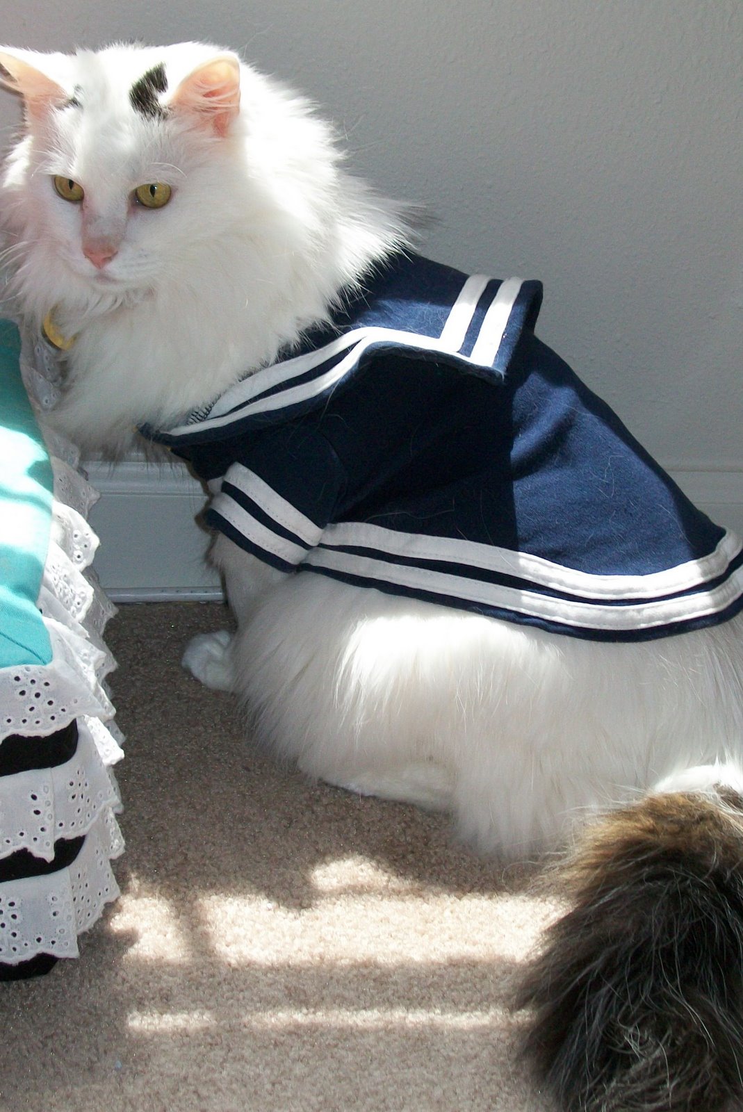 [2009+07+20_2179.JPG]
