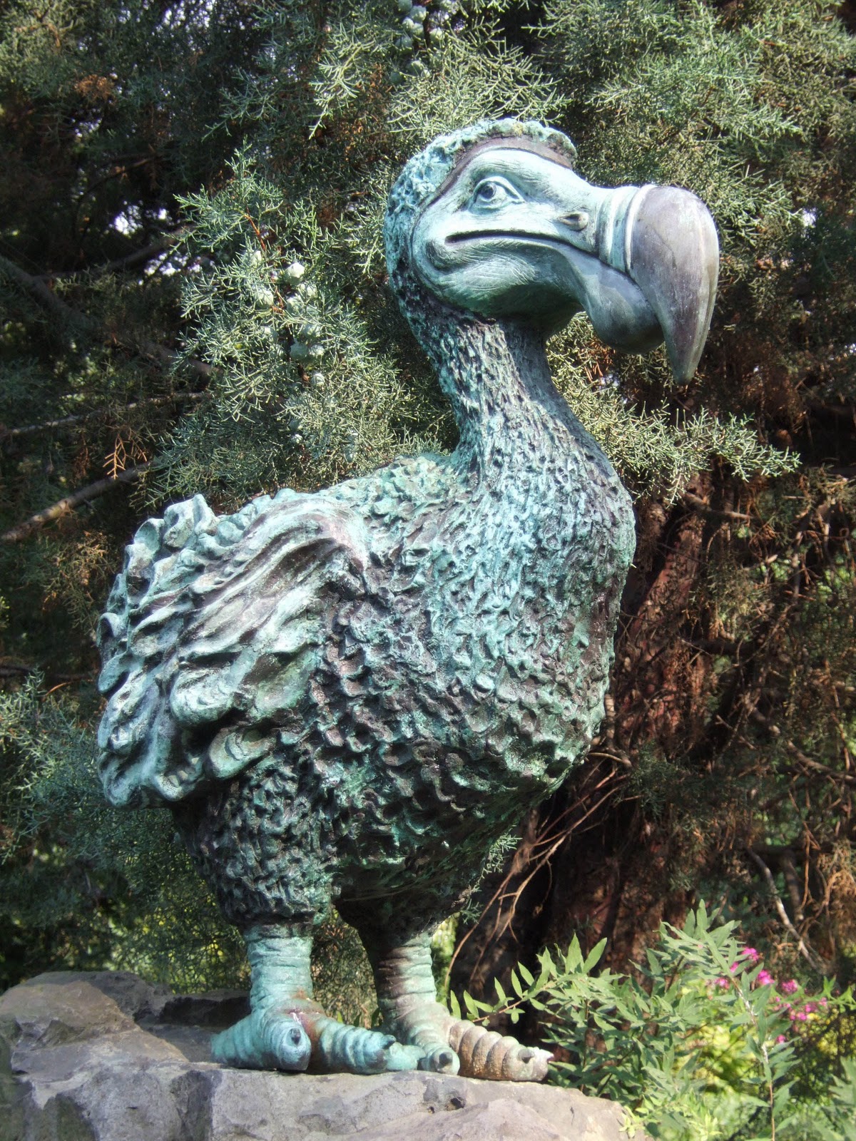 last dodo bird spotted last dodo bird spotted