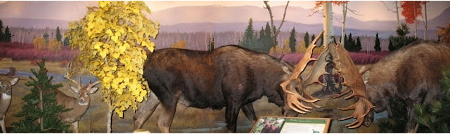 Cabela's Big Game Mural