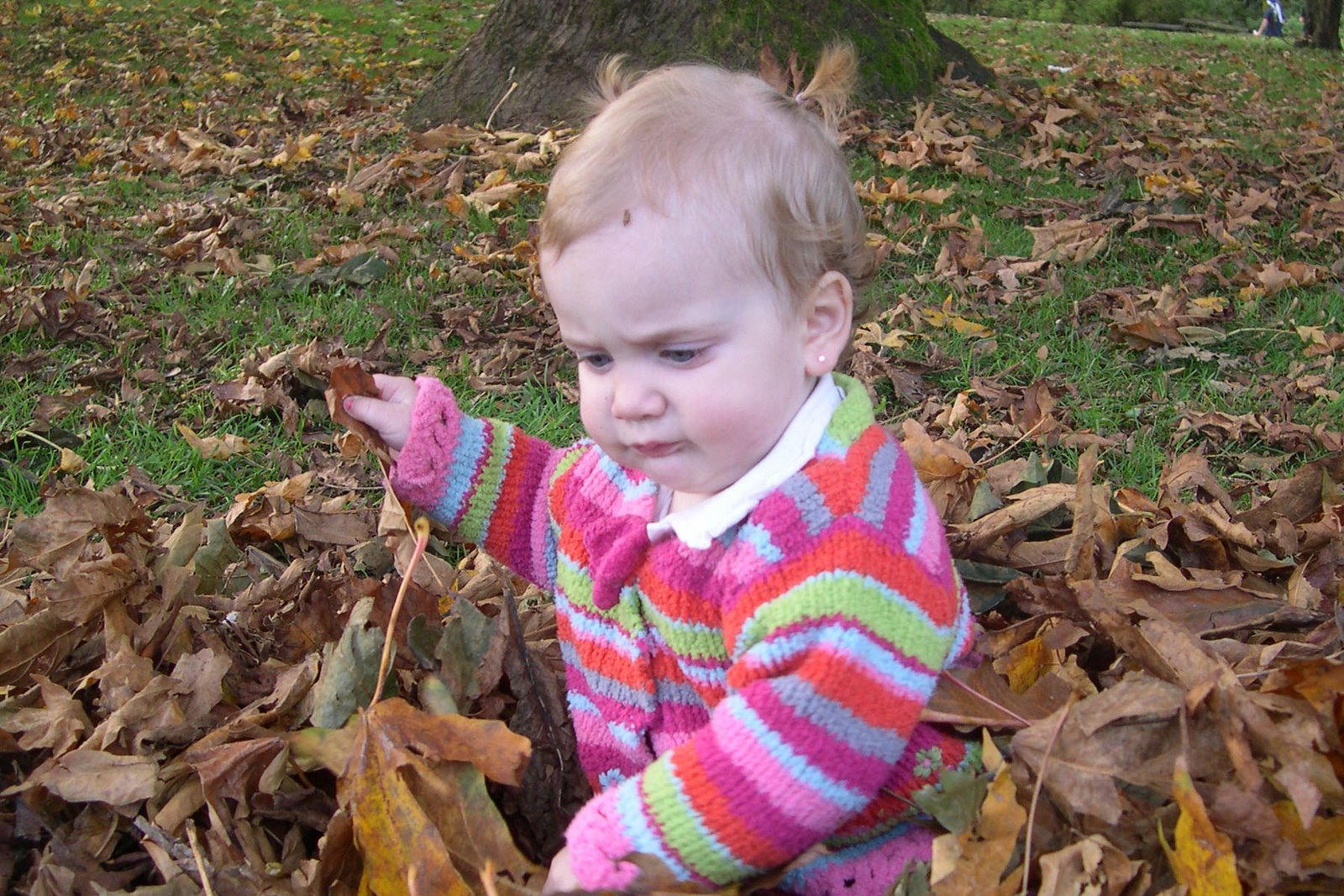 [Fun+in+the+leaves.jpg]