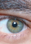 A minha fotografia