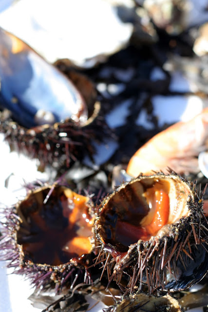 les amis des rencontres de tamaris