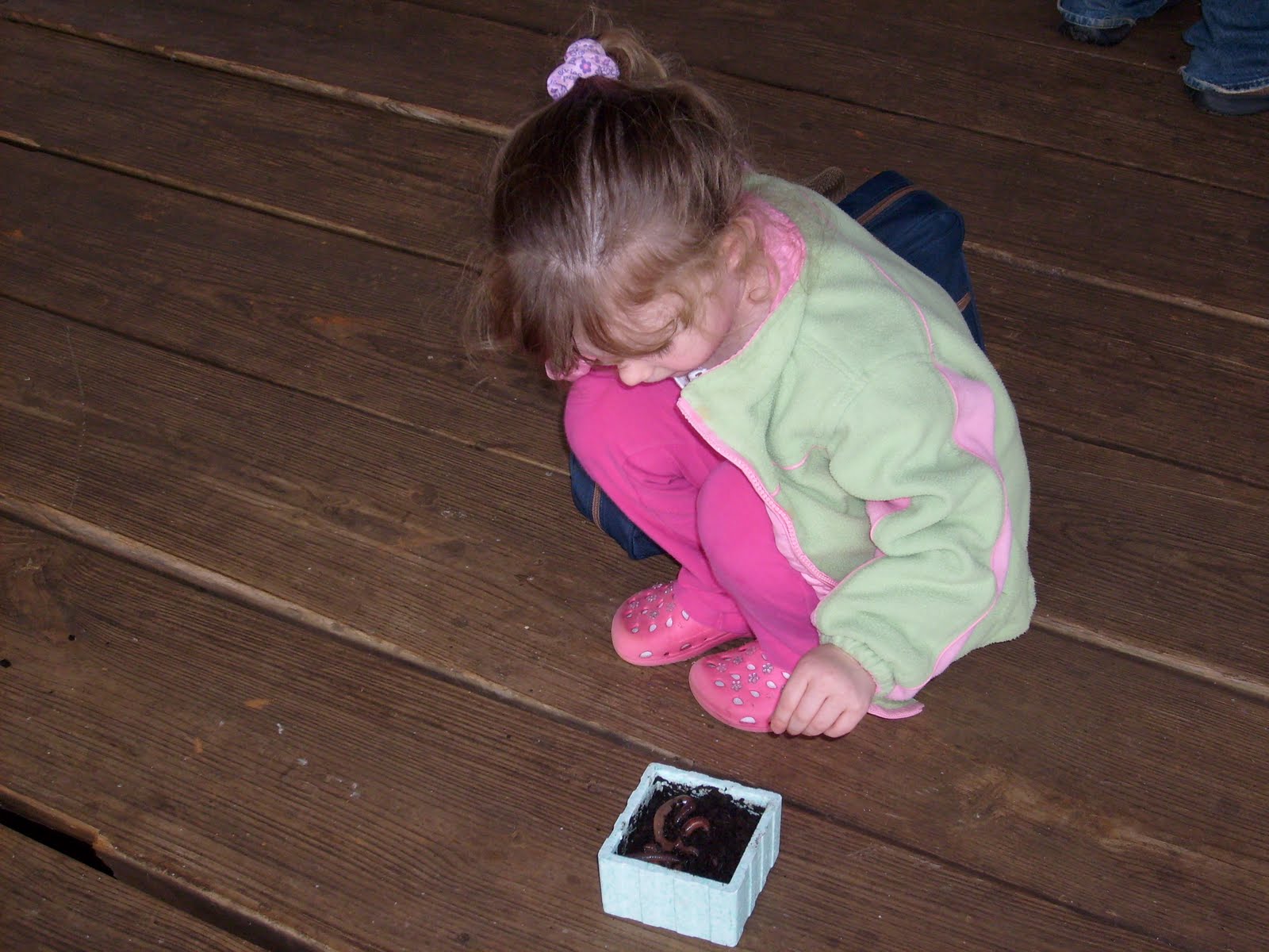 [S6300944.JPG]