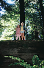 A Fallen Tree
