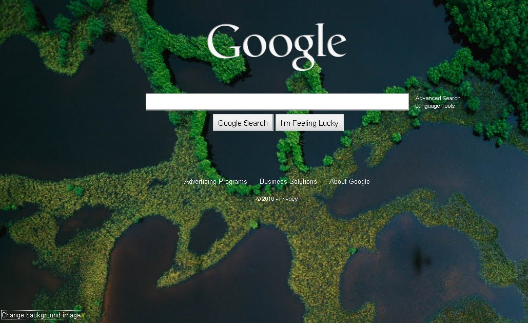 the Google search page!