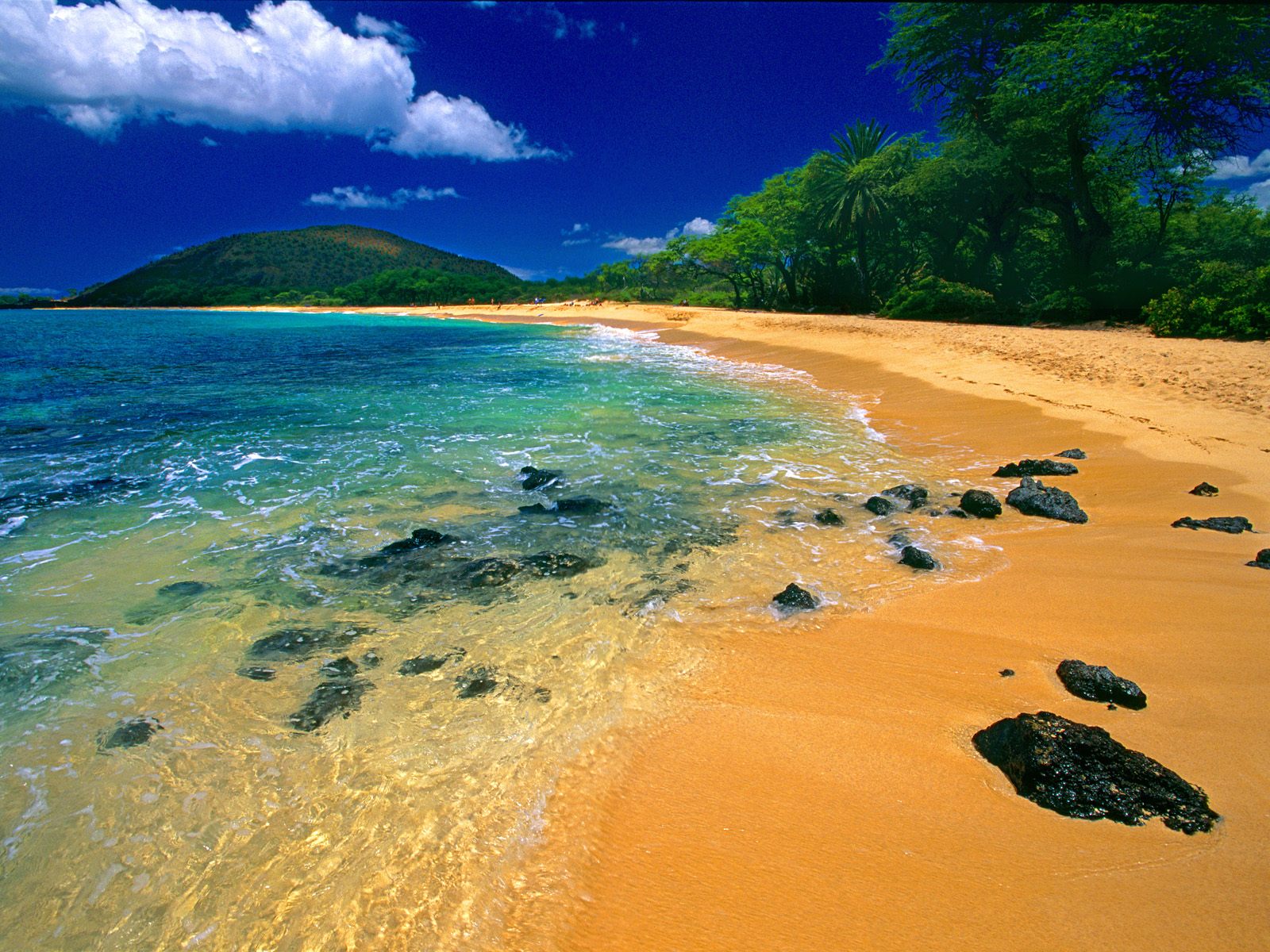 [Big+Beach,+Maui,+Hawaii.jpg]