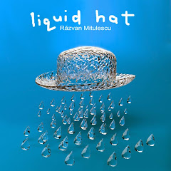 Liquid Hat  -  Razvan's home made music