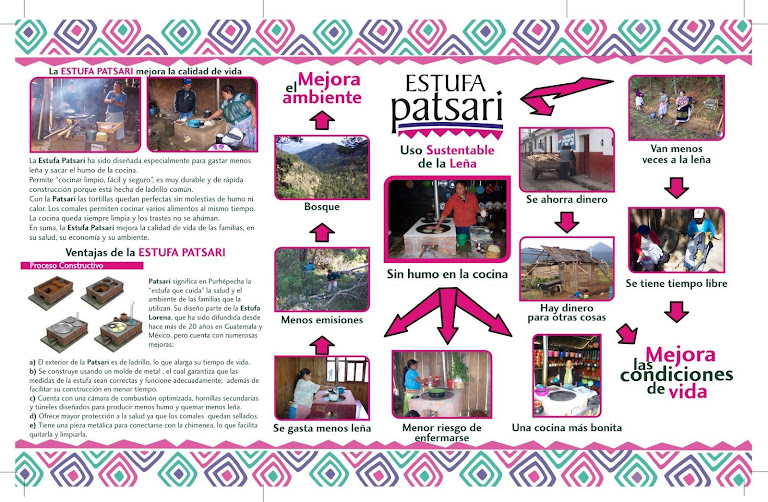 Enfoque del Proyecto Patsari