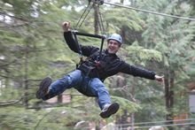 Ziptrek