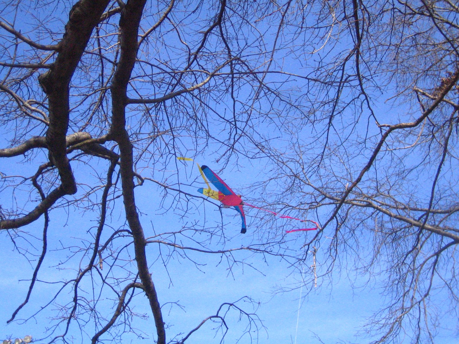 [IMG_2517.JPG]
