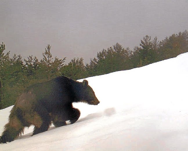 [_OSO2_5e766d02.jpg]