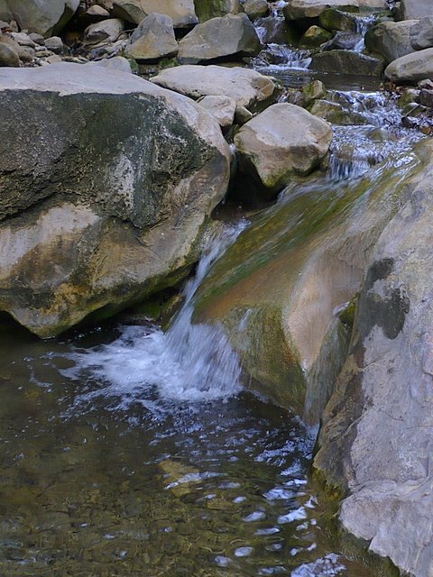 [L1040240-1.JPG]