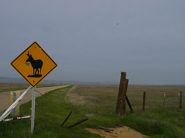 [L1040707-1.JPG]
