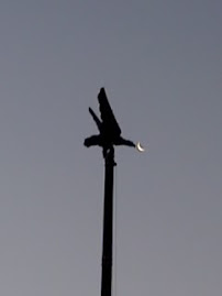 Luna en el Pico del Aguila