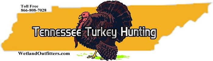 Tennessee Turkey Hunting