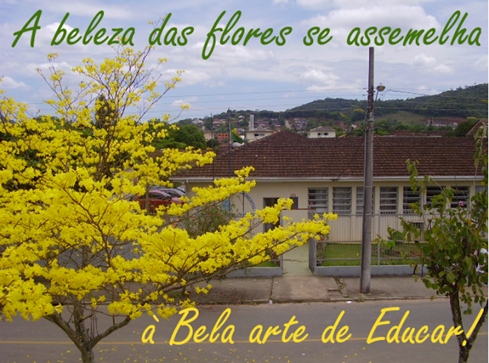 EEF Profª Maria Amin Ghanem