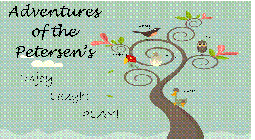 The Adventures of the Petersen\