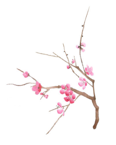 Simple Cherry Blossom