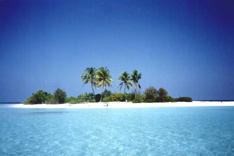 [desert+island.JPG]