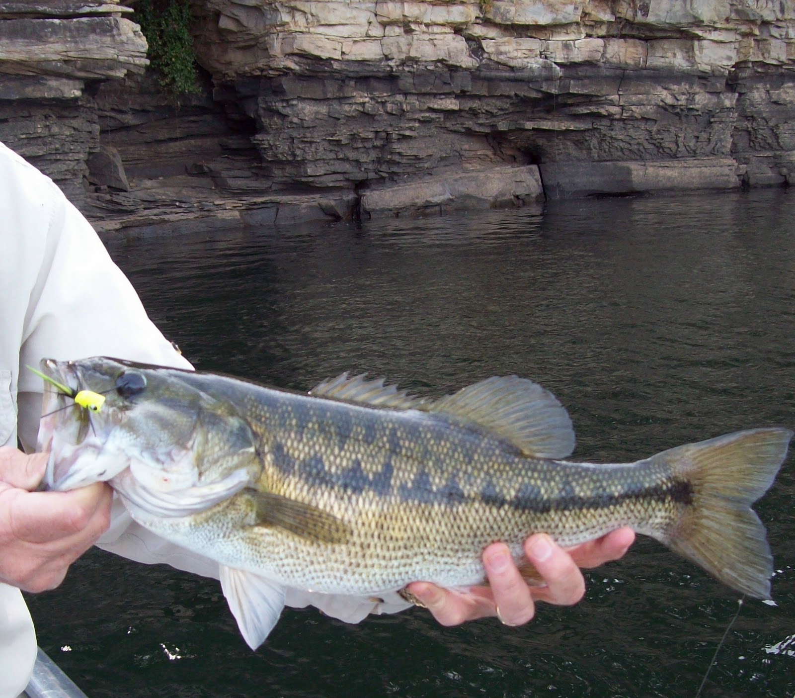 Fishing Through Life My Largest Kentucky Spotted Bass Ever Using the