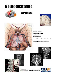 Cours de CHU de Paris VI Neuroanatomie+morphologie