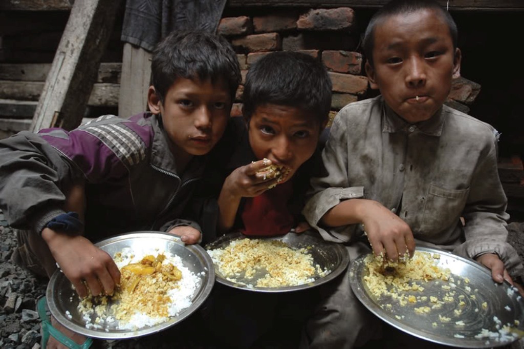 hunger third world countries essays hunger third world countries essays