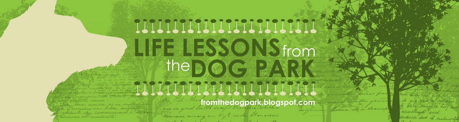 Life Lessons From the Dog Park