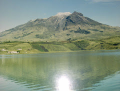 El sol de los venados