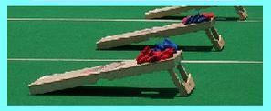 [cornhole.JPG]