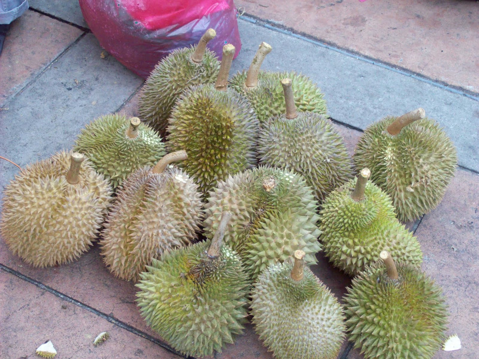 Food Writer’s Diary: I finally understand durian