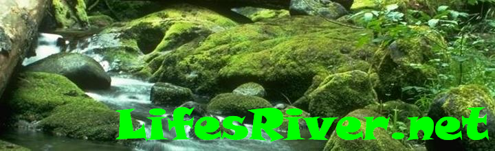 [RiverCopy2.PNG]