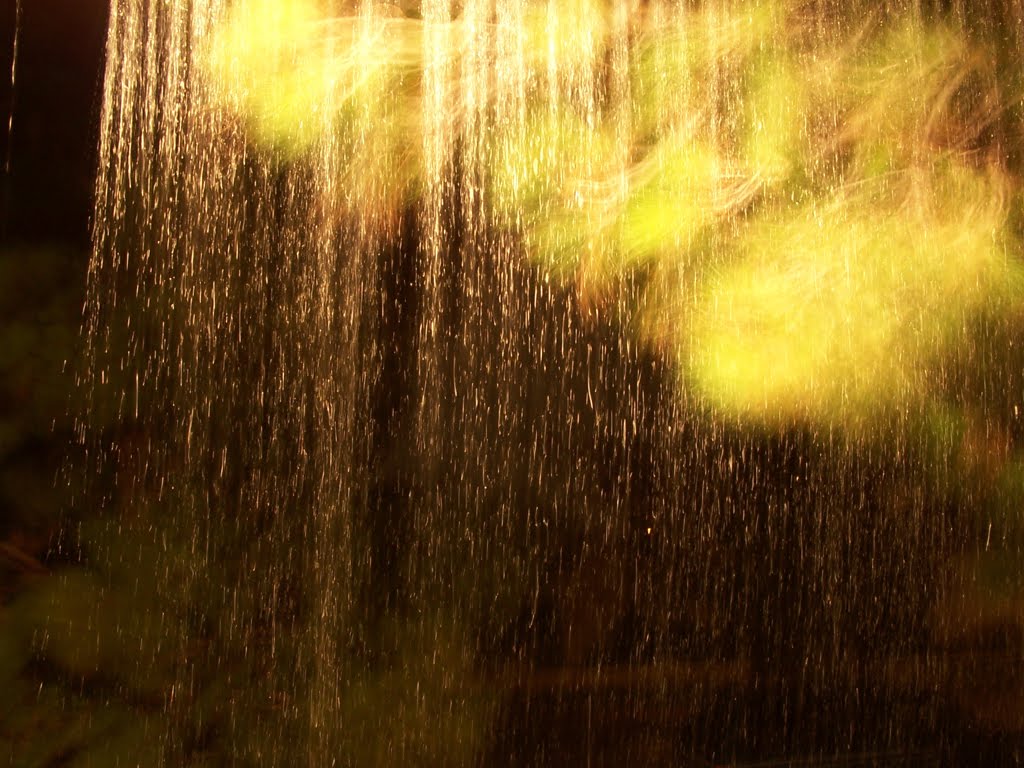 [rainfall.jpg]