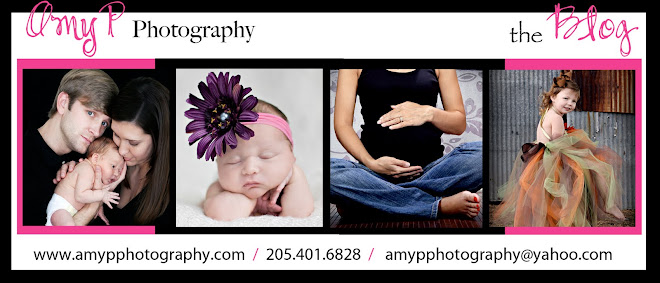 Amy P Photography